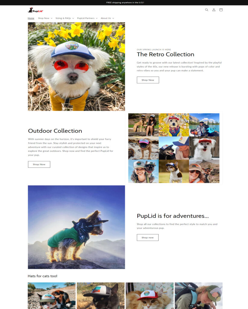 Pet Supplies site Design Notch Solutions